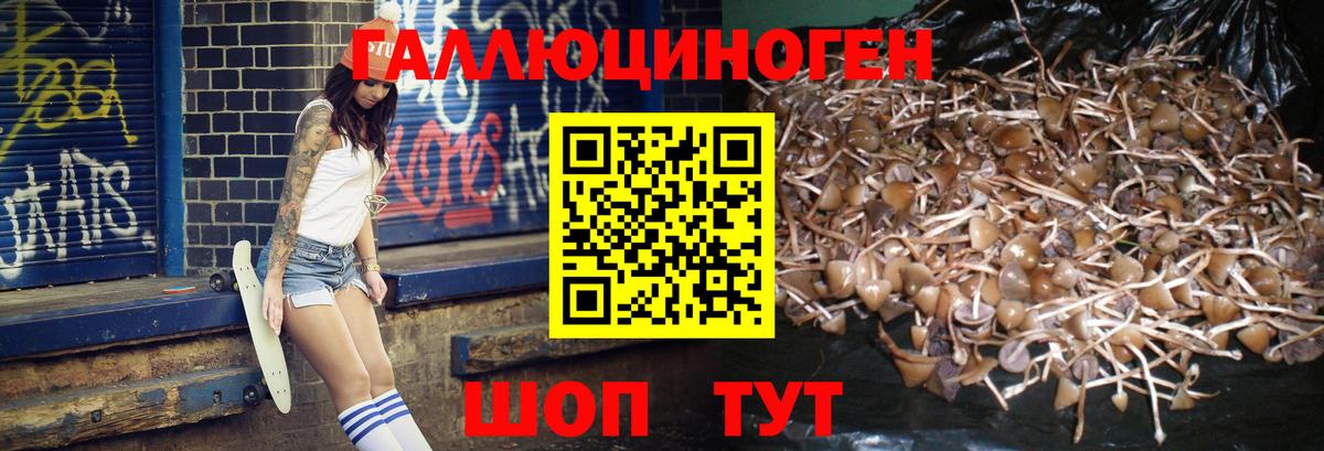 Аксай  магазин продажи наркотиков  Вход с VPN  Псилоцибиновые грибы мицелий 