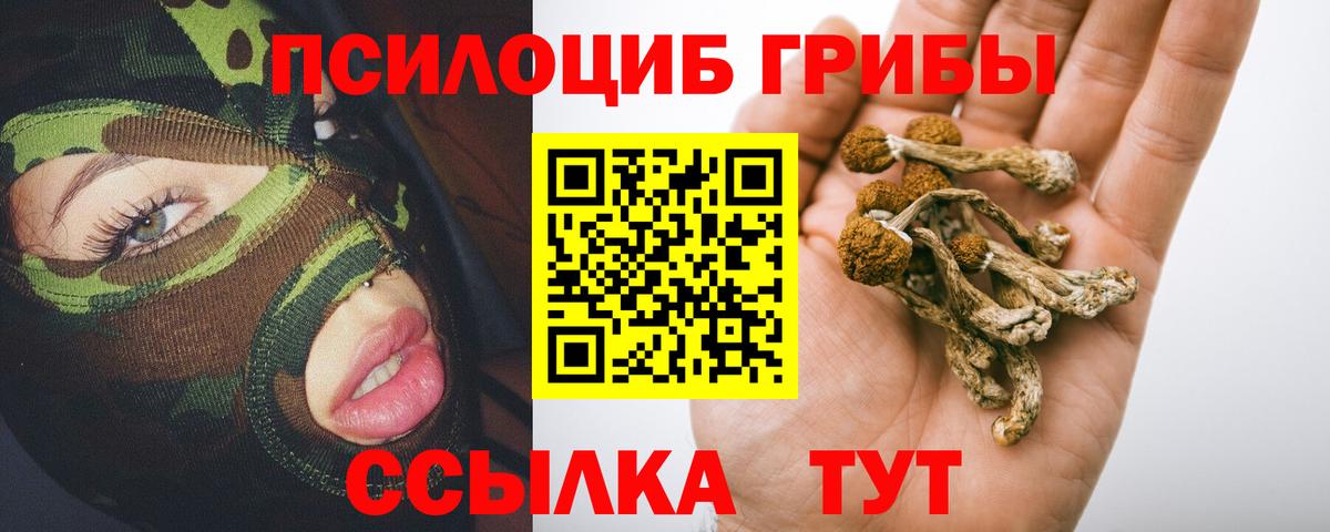 Псилоцибиновые грибы Psilocybe Аксай
